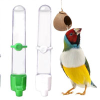 Birds Cage Accessories