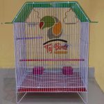 cockatiel parrot cage