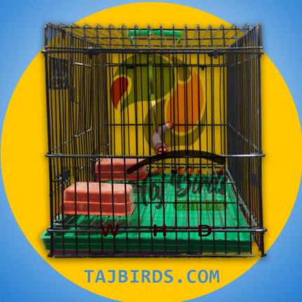small cage for finch birds