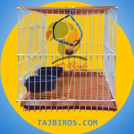 small cage for finch birds